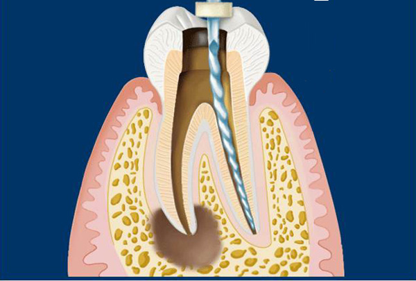 Meher Health & Dental Care